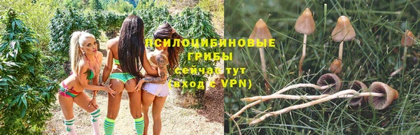 каннабис Верхний Тагил