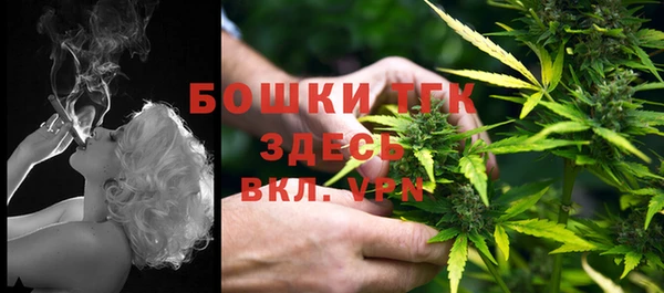 сатива Верхнеуральск